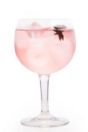 Gin Tonic Floral con hibisco y anís