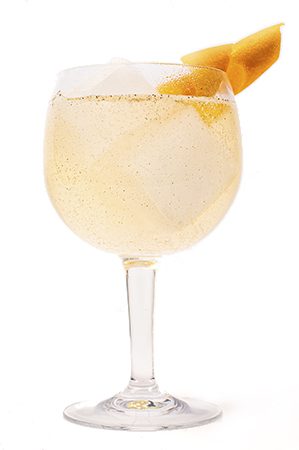 Gin Tonic Extra Picante